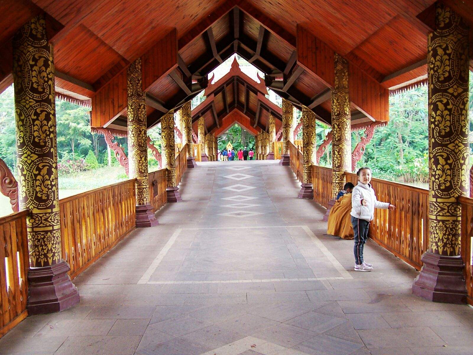 西双版纳|解封了去哪玩?推荐之一西双版纳,天然的氧吧让你不虚此行