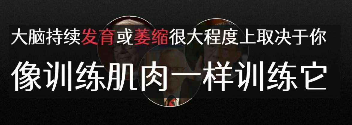 如何让大脑更强大?打造最强大脑的5个关键要素