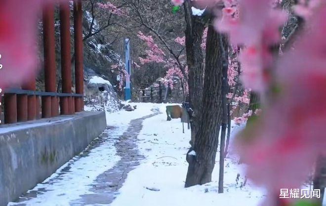 跨年|观冰瀑，赏冰挂！来双龙湾开启“冰雪奇缘”仙境模式