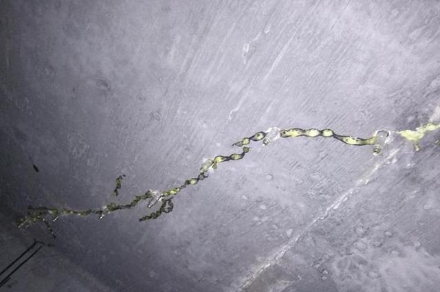 墙上渗水掉漆，怎么办？要分成2个部位，每个部位都有4点要注意