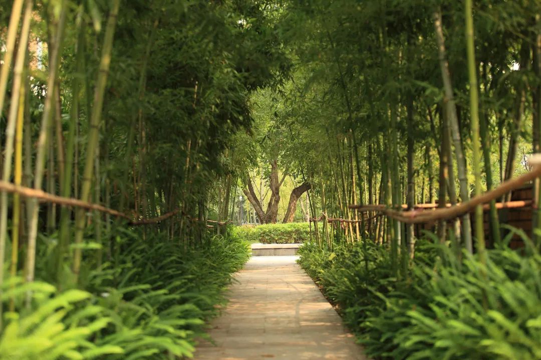 租赁合同|为什么老家的房子千万别卖?看完你就懂了