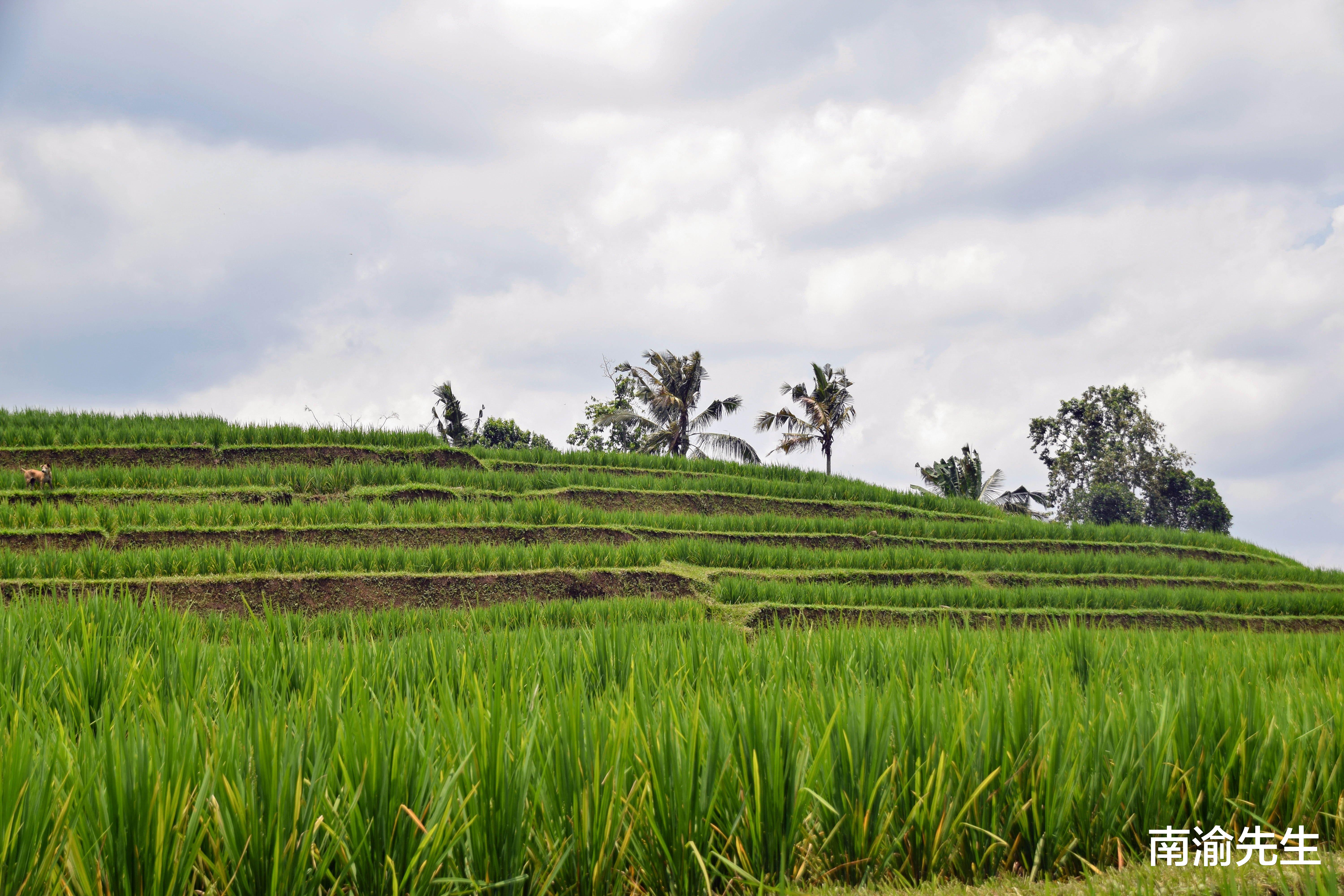 摩羯座|摩羯座 2022年 职场运势分析