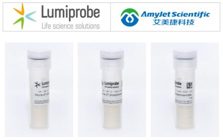 Lumiprobe 脱氧核糖核酸丨炔烃dT亚磷酰胺