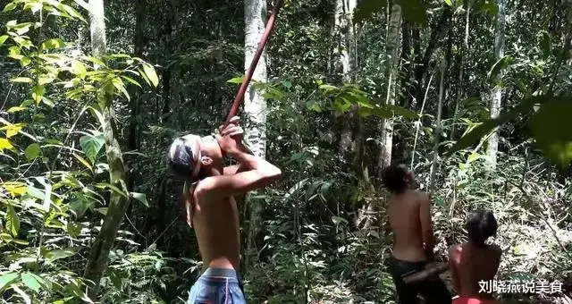 最会用毒的原始部落,自制剧毒吹箭,几分钟就毒死大型动物