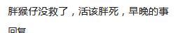 豌豆 500斤胖猴仔偷吃泡面被抓,满脸委屈如同小媳妇,网友:活该胖死