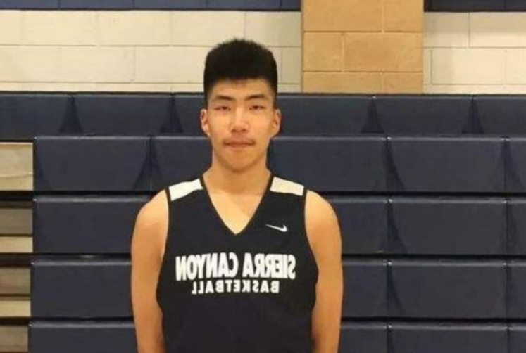张镇麟|炸裂！张镇麟又一重大决定！整整2年啊！终于想去打NBA