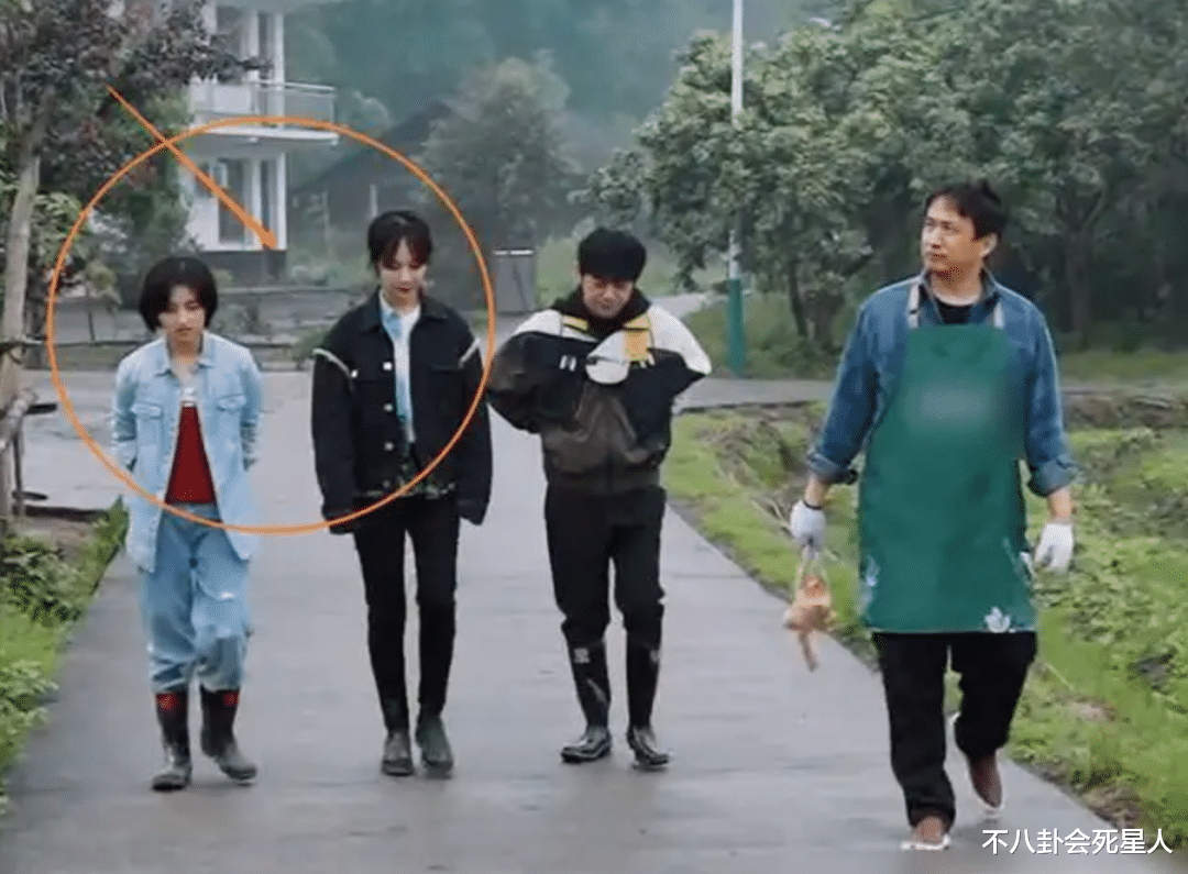 鞠婧祎|矮个女星谎报身高，穿高跷、垫木板、踩箱子，一拍戏就原形毕露