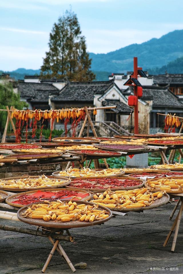 游山川|登黄山必游呈坎，神秘的风水八卦村，属于国家级5A景区却少有人知