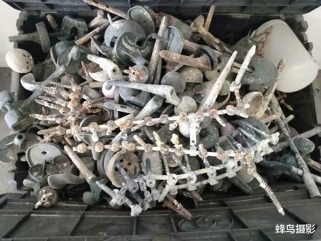 30张活久未见的照片,完整的人类神经系统,全世界只有4个