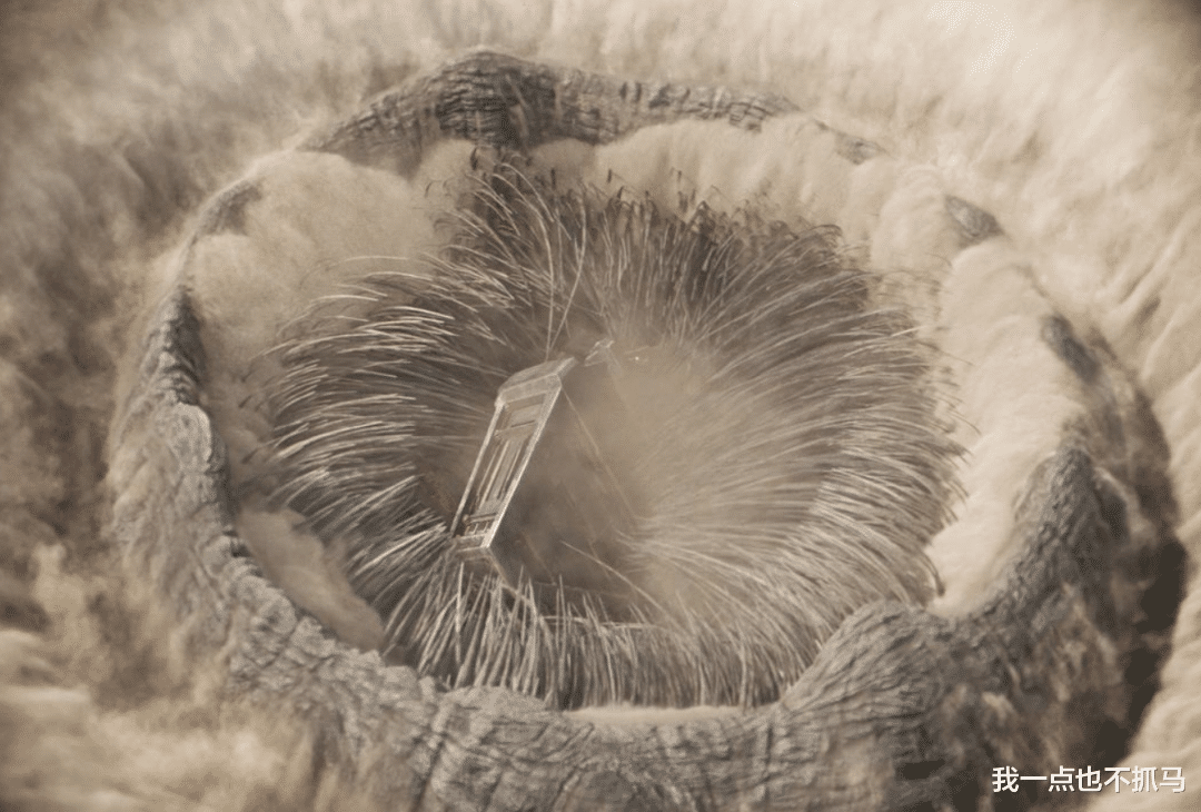 威尔·史密斯|这一巴掌真解气