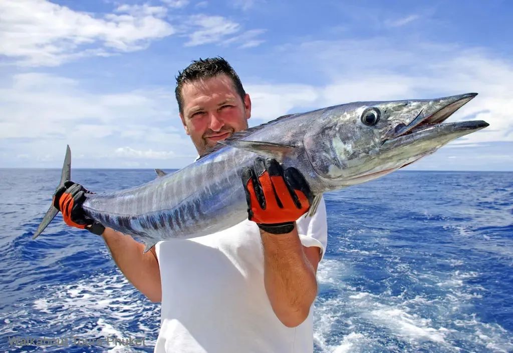 海钓|放生大海的鱼，为什么要在肚子上捅一个洞？