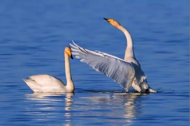 广东省|没有来过这5个地方，就不算到过伊犁