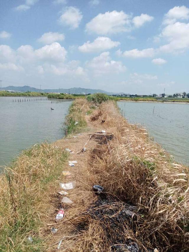 |再战X基地,这次想要爆护不容易