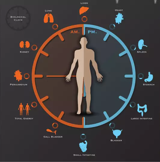 白天不懂夜的黑,你属于哪种睡眠类型?