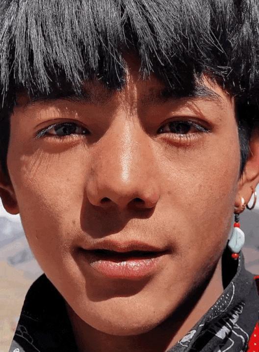 杨志刚|明明是撞脸明星,却一个洋气一个土气,杨志刚那英都这样