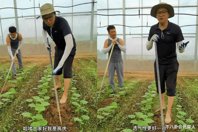 胡军|19年后再看胡军版《天龙八部》，主角配角齐翻车，一个比一个离谱