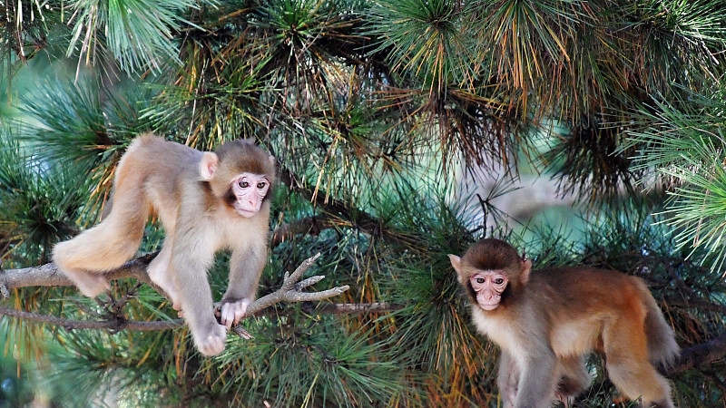 |职场上到底有没有真朋友？