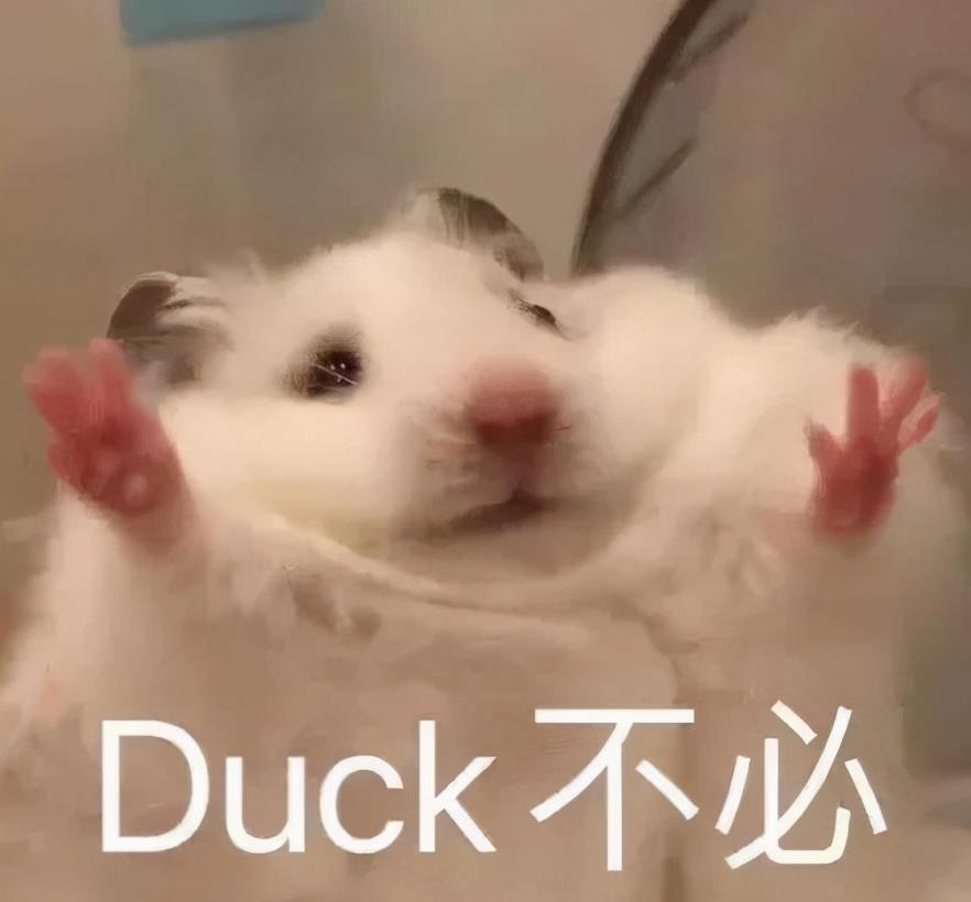 若是再买房,卫生间一定坚持7不装,不是矫情,而是真的受够了