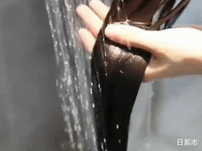 护发素 两天不洗头就会油！改善方法+推荐洗发水=偷懒必备～