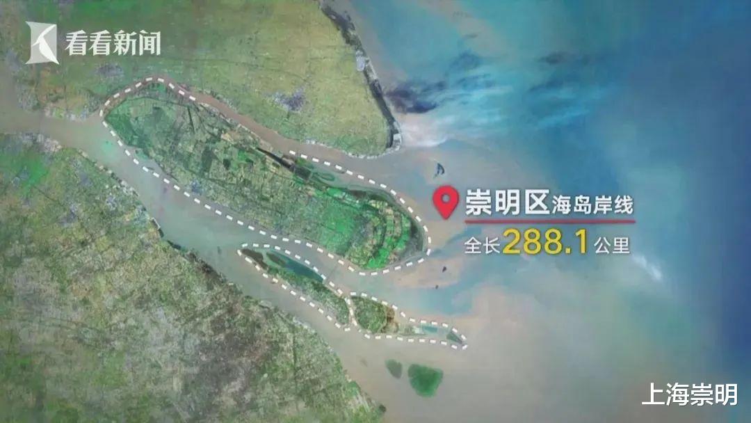 崇明|全长288.1公里！崇明坐拥上海独一无二的海岛岸线