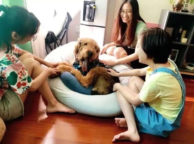 创业|当00后开始做老板:佛系、平等、「无组织无纪律」