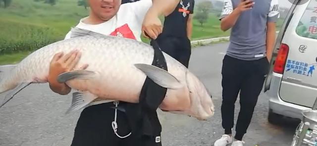 辽宁省|辽宁钓友水库钓到巨青，有人当场出7000，钓鱼也能发家致富吗？