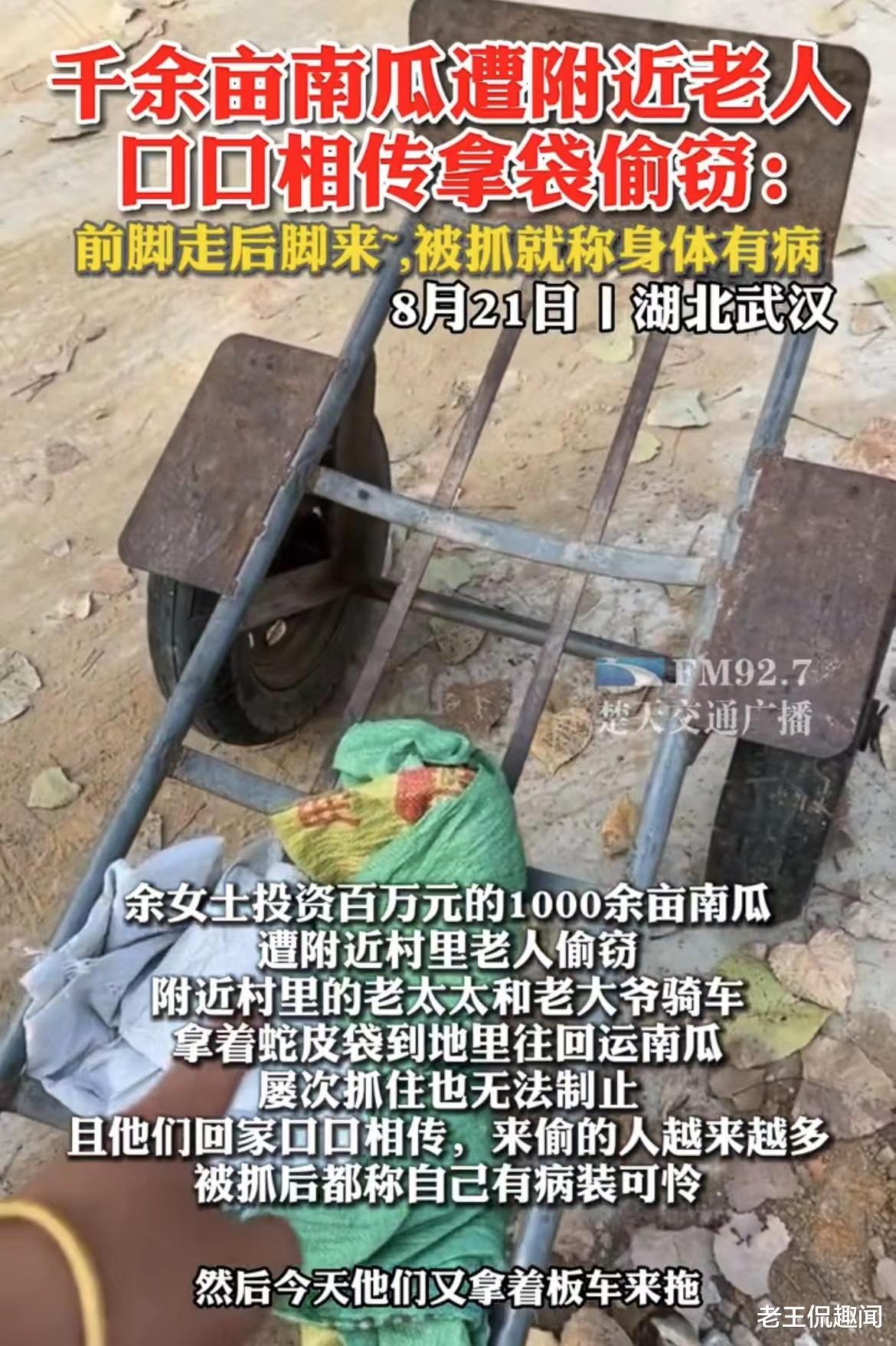 90后女子承包千亩地种瓜,遭附近老人拿麻袋偷瓜,老人:我是老人