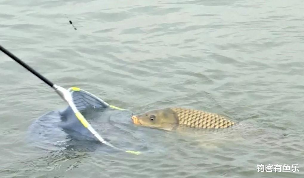 |玉米钓鱼有哪些误区？用玉米挂钩只抓黑漂与顶漂？为什么不抓顿口