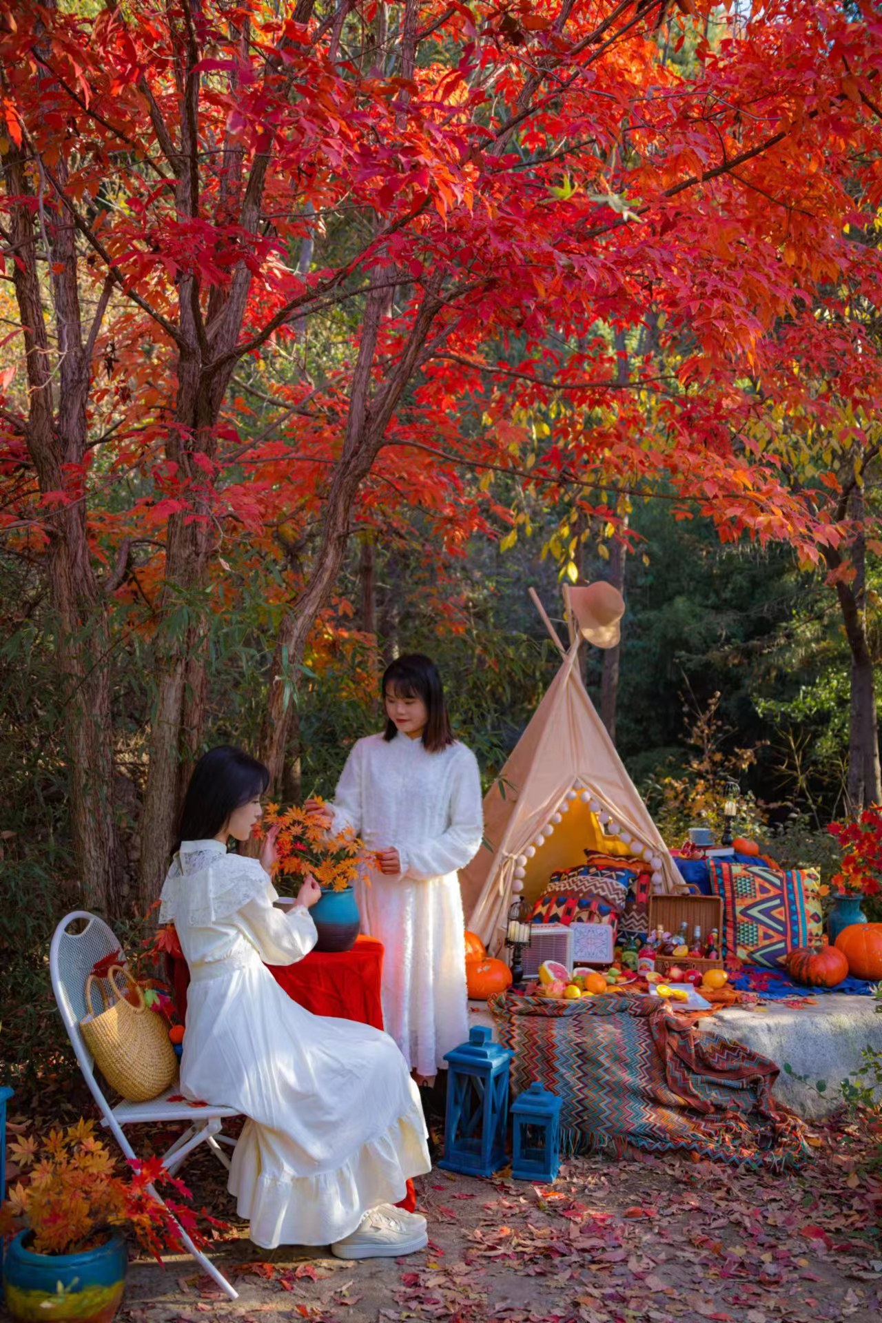 咖啡|颜值巅峰！沉浸枫林中，享秋日野餐的快乐