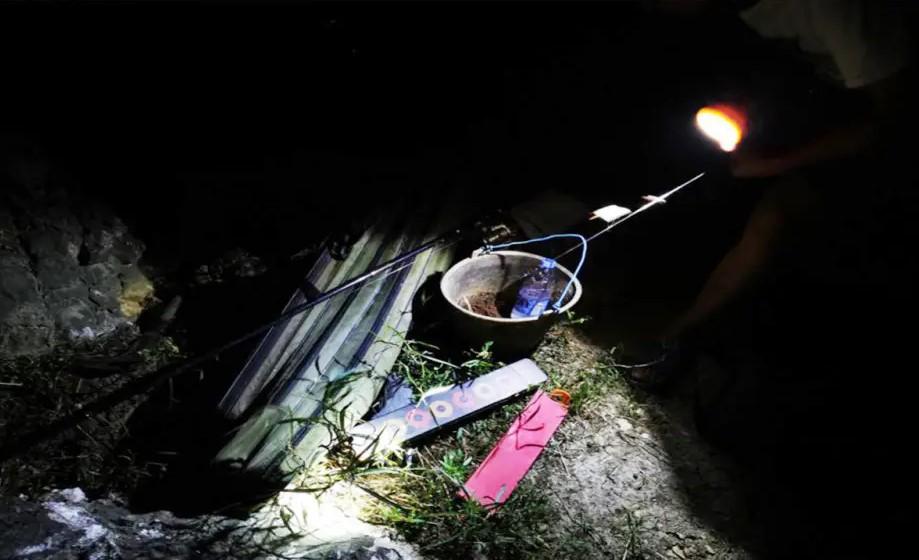 广西男子夜钓时,突然从树上掉下来一条蛇