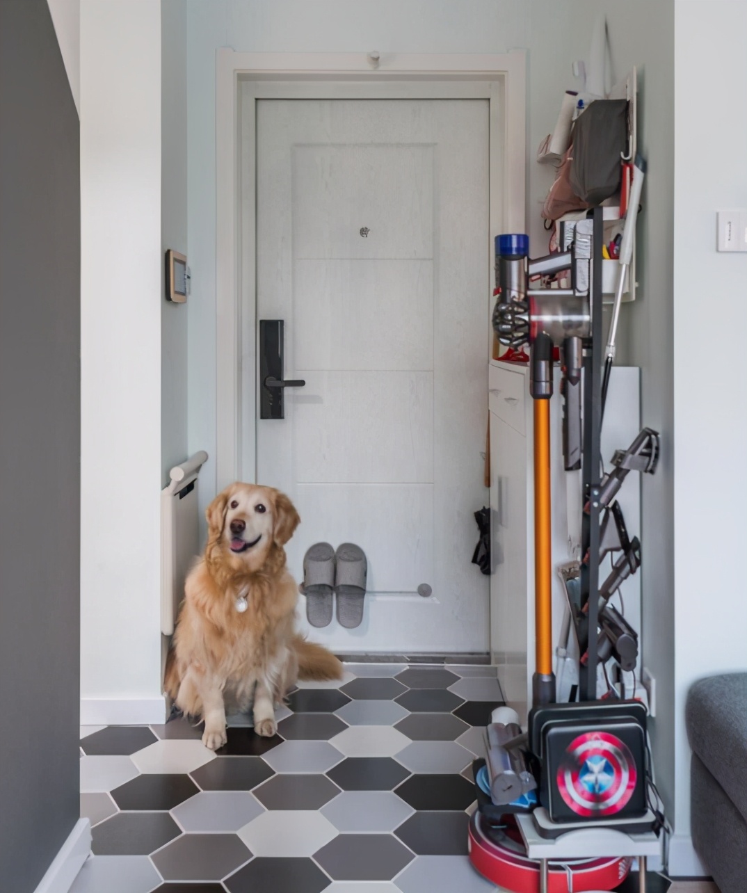 38平米的小家,客厅餐厅衣帽间卧室一个不少,一人一汪住超舒服