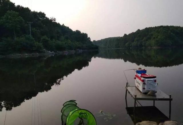 夜钓|让我难忘的三次夜钓经历,晚上钓鱼最好结伴而行,有事能互相照应