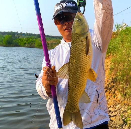 |馒头能钓鱼么?大师的操作让我叹为观止,竟然把水库草鱼抠光了