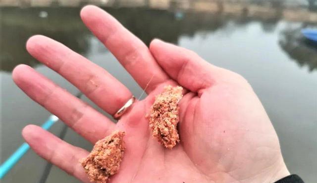 |夏天钓不到目标鱼?试试包食钓法,不另外打窝,不担心小杂鱼闹钩