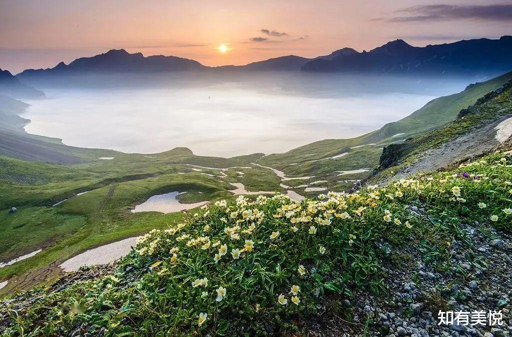 草原|国内12个最值得去的初夏绝美旅行地，快带上ta来场久违的旅行！