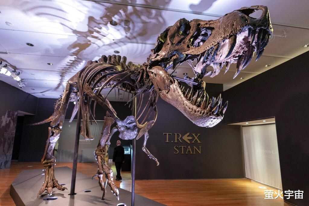 7700万年恐龙骨架被拍卖,成首例私人恐龙化石藏品,科学家心痛将无缘再见