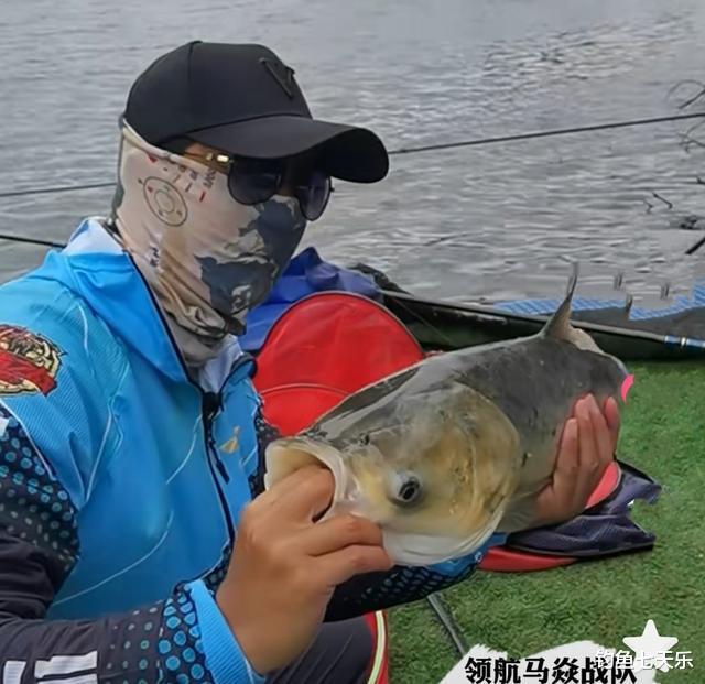 电竞新闻|王者之战变“抽鲢鳙”大赛，化氏战队出师不利，邓刚会笑到最后?