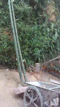 |坐地铁碰到最美阿姨,偷瞄被她发现了,该怎么办?