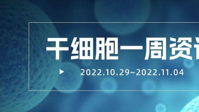 干细胞一周资讯（10.29-11.04）