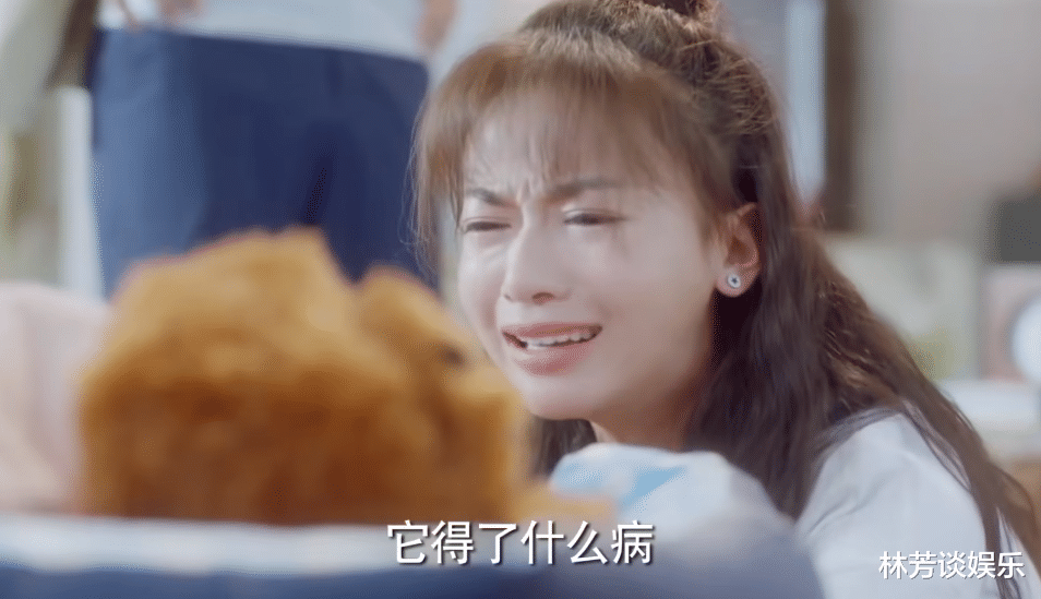 向风而行|哭不出来别硬演!《向风而行》三位演员登场,凭教科实力惊艳观众