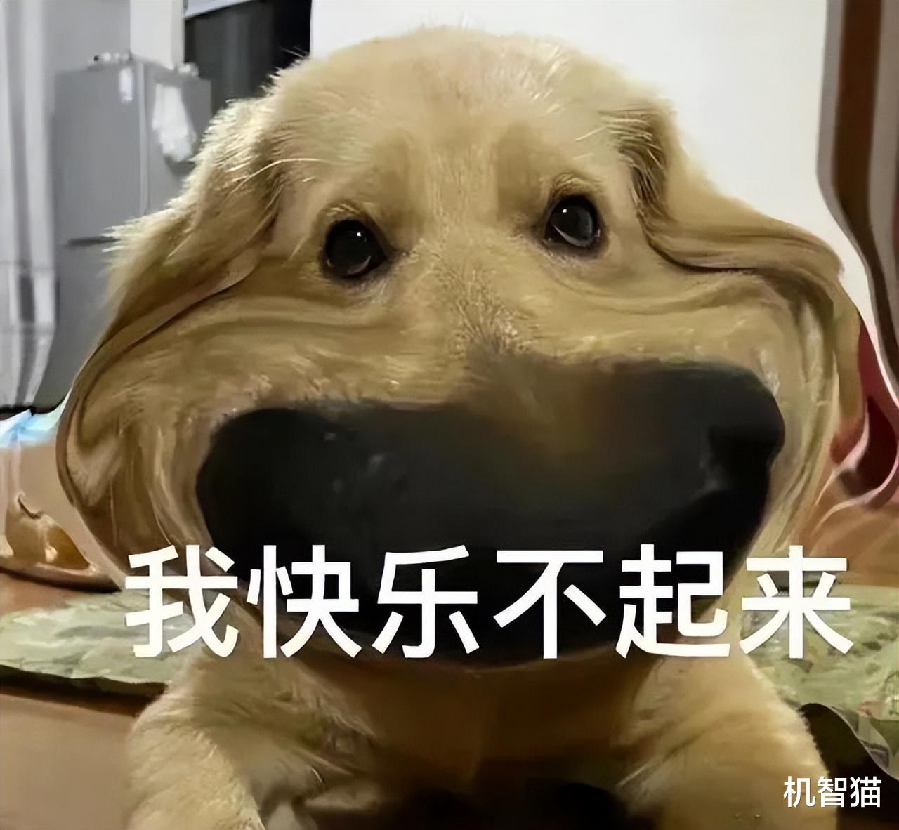 CPU|这样买手机，你才不是大冤种