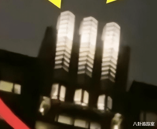 大S|真将汪当摇钱树?大S4亿豪宅曝光,三层房屋灯火通明,疑种某植物