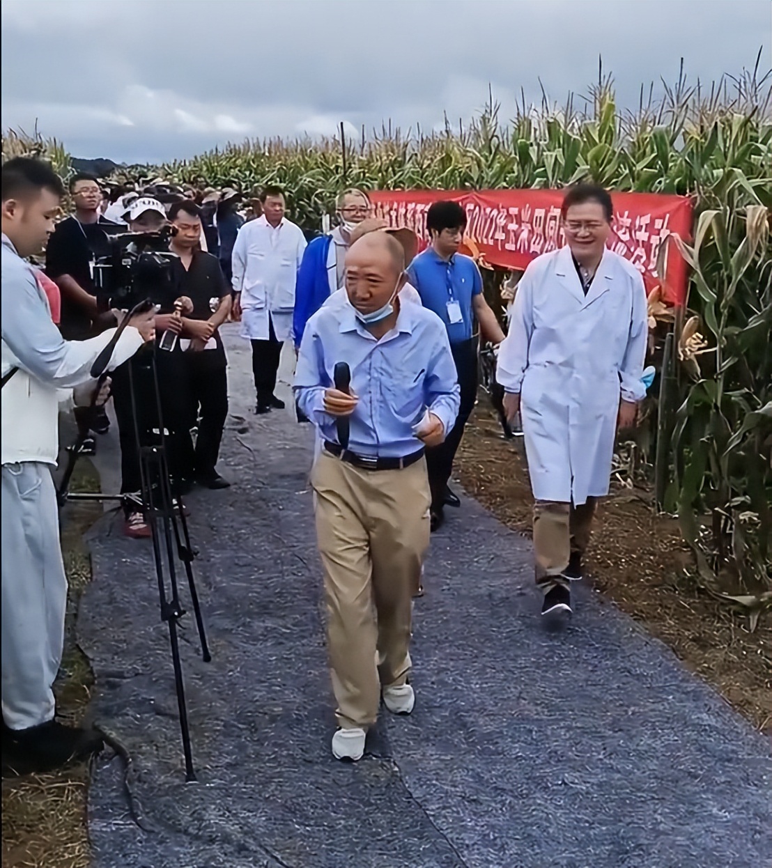 专家脚踩地毯下玉米地“鞋不带泥”,农科院辟谣遭网友质疑