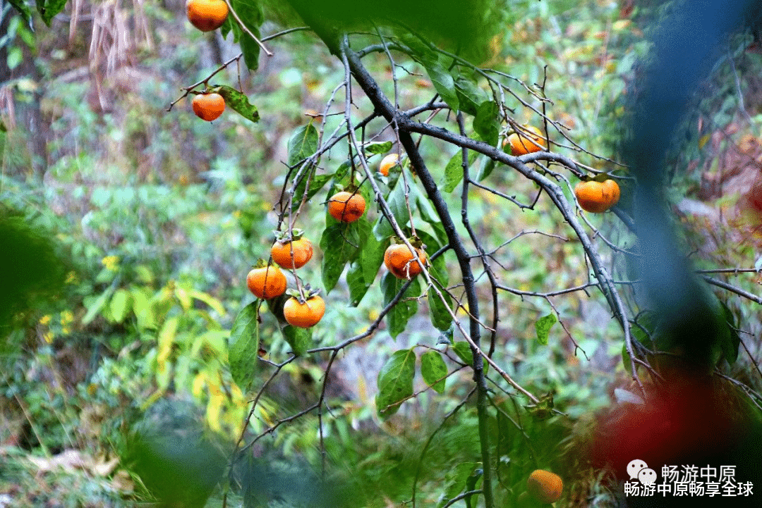 长沙|这个秋天，与您邂逅亿年仙宫鸡冠洞！（原创）