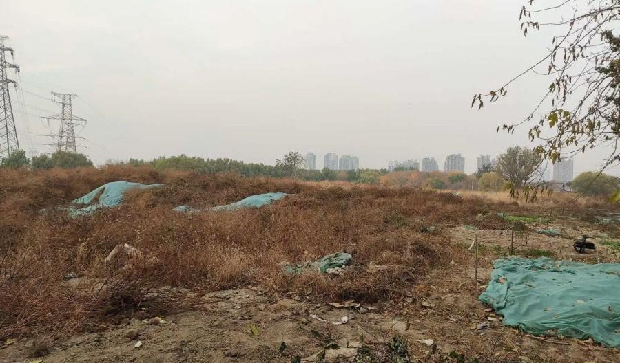 案例:女白领爱上农民工,逼婚未遂服毒自尽,警方尸检发现端倪