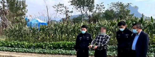 300斤萝卜被偷找到已成萝卜丝,网友:连夜偷连夜切对萝卜是真爱