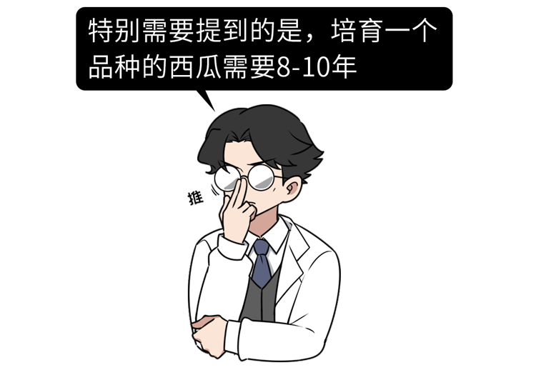 西瓜|现在的西瓜太甜了,大部分打了激素?真相可能和你想的不一样