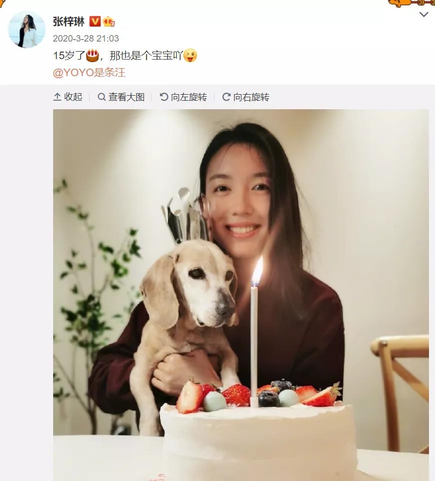 张梓琳|“世界小姐冠军”张梓琳:拒绝豪门嫁普通小伙,千金难买我喜欢