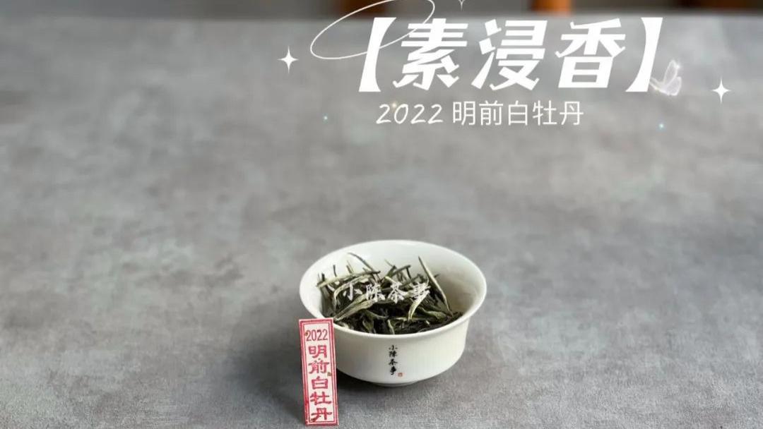 白茶|新手买春白茶，白毫银针和白牡丹该选哪个？或者有更好的选择？
