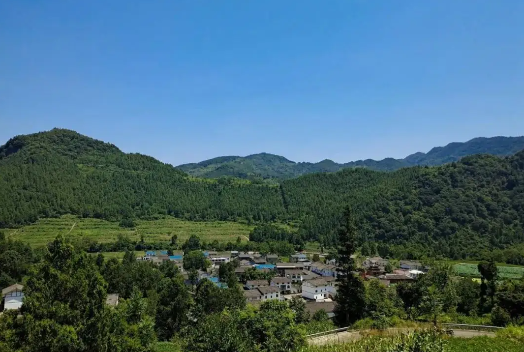 儿子身患绝症,南京下岗女工,养鹿救子,坚持14年,年入200多万